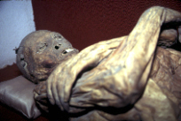 Mexican Mummy Horizontal